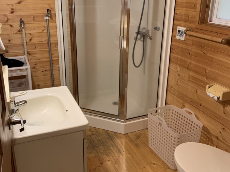 Bathroom and Shower Cabin #20