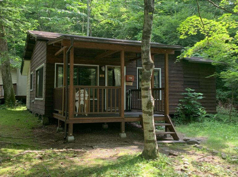 Cottage #12