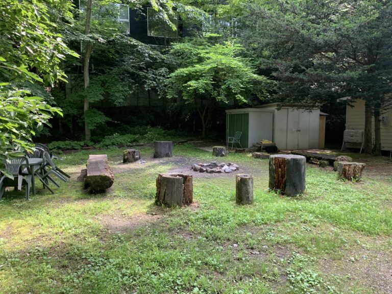 Fire pit