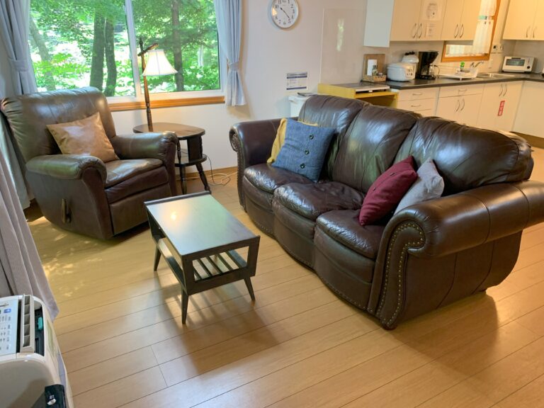 Cottage #22 Living area